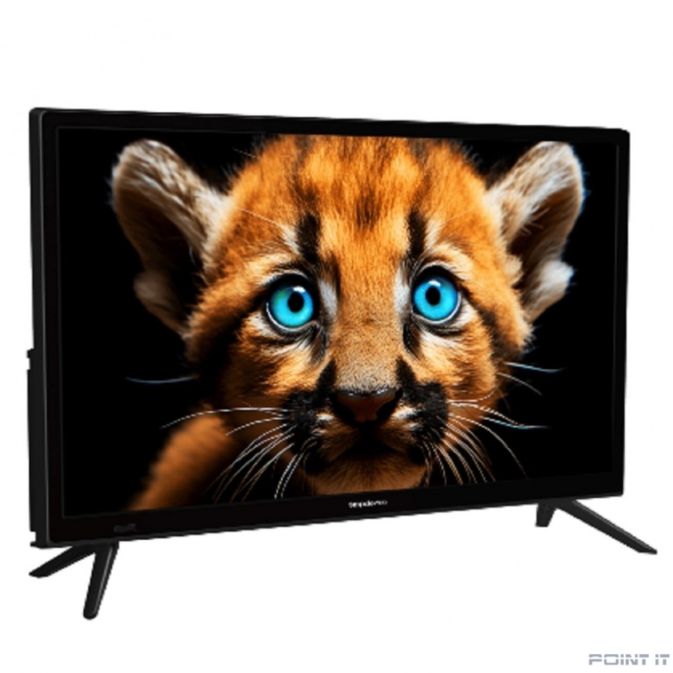 Topdevice 24'' TDTV24BS01H_BK {HD/VA/Smart WildRed/1-8Gb/Black}